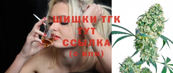 дмт Алзамай
