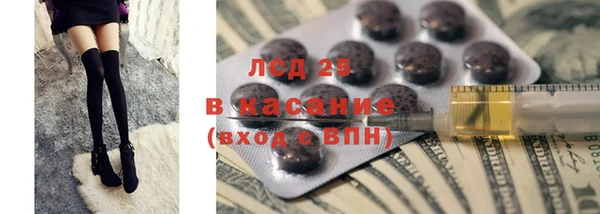 дмт Алзамай
