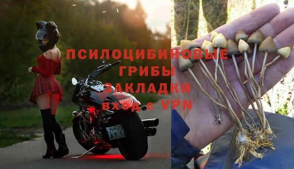 mix Алексеевка