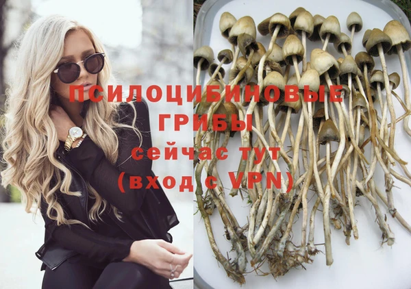 дмт Алзамай
