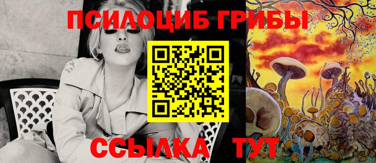 Бийск  Псилоцибиновые грибы мухоморы  Вход с VPN  Псилоцибиновые грибы мицелий 
